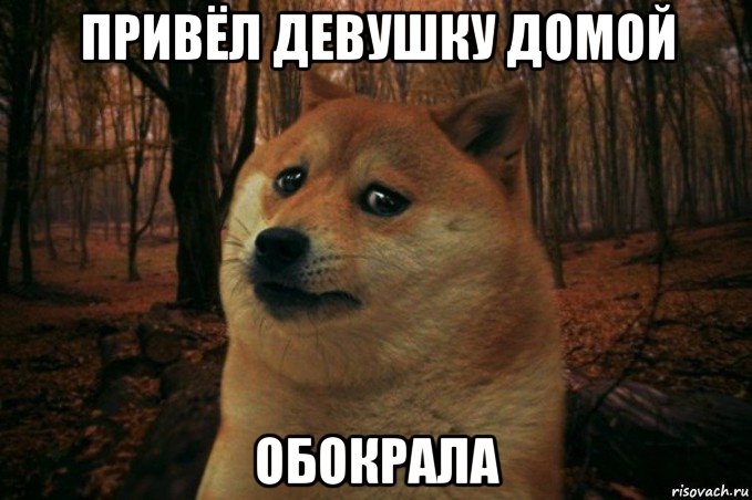 привёл девушку домой обокрала, Мем SAD DOGE