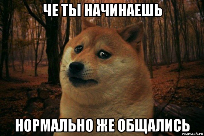 че ты начинаешь нормально же общались, Мем SAD DOGE