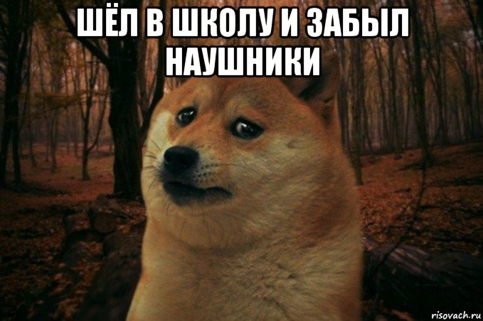 шёл в школу и забыл наушники , Мем SAD DOGE