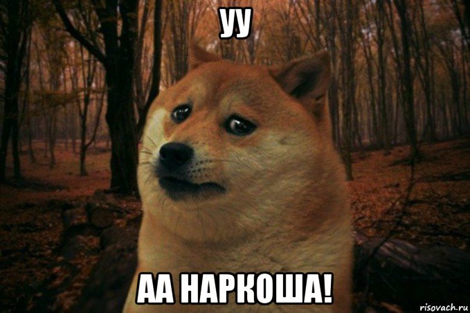 уу аа наркоша!, Мем SAD DOGE