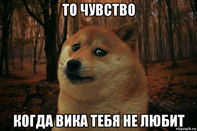 то чувство когда вика тебя не любит, Мем SAD DOGE