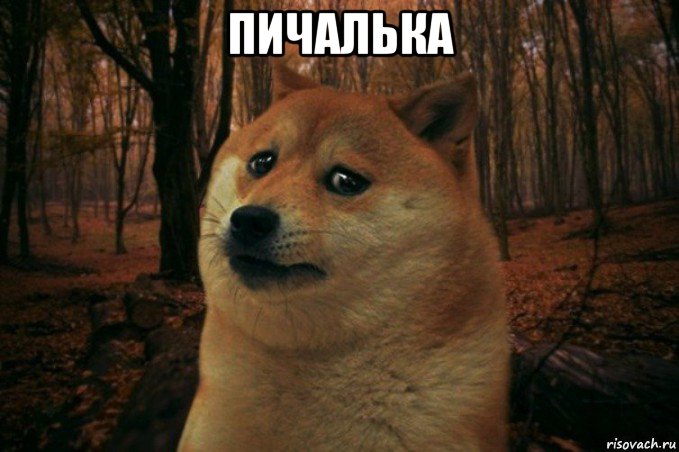 пичалька , Мем SAD DOGE