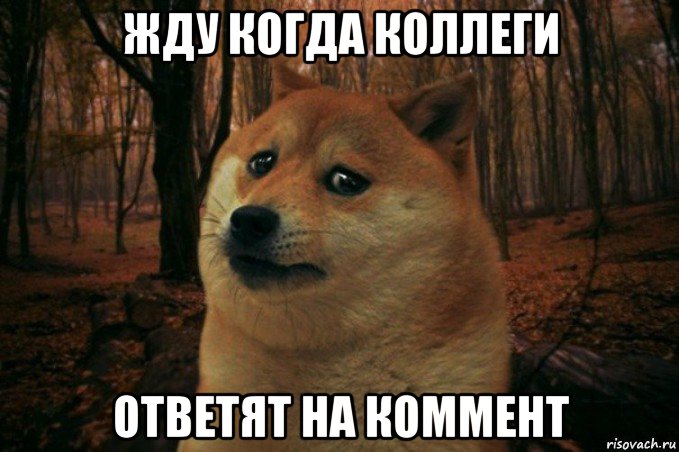 жду когда коллеги ответят на коммент, Мем SAD DOGE