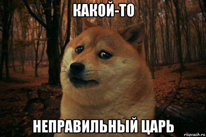 какой-то неправильный царь, Мем SAD DOGE