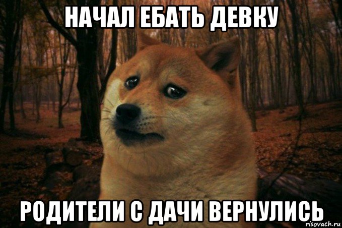 начал ебать девку родители с дачи вернулись, Мем SAD DOGE