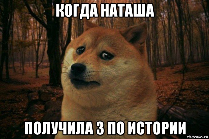 когда наташа получила 3 по истории, Мем SAD DOGE