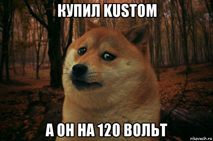 купил kustom а он на 120 вольт, Мем SAD DOGE