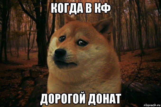 когда в кф дорогой донат, Мем SAD DOGE