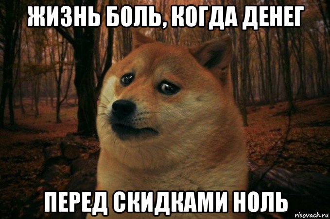 жизнь боль, когда денег перед скидками ноль, Мем SAD DOGE