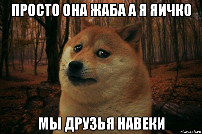 просто она жаба а я яичко мы друзья навеки, Мем SAD DOGE