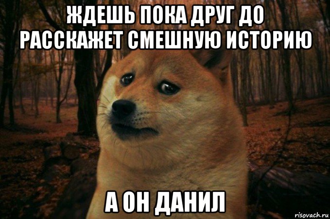 ждешь пока друг до расскажет смешную историю а он данил, Мем SAD DOGE