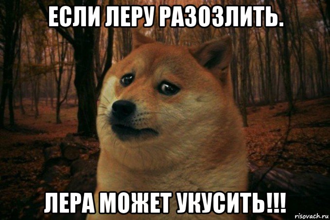 если леру разозлить. лера может укусить!!!, Мем SAD DOGE