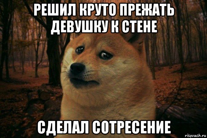 решил круто прежать девушку к стене сделал сотресение, Мем SAD DOGE