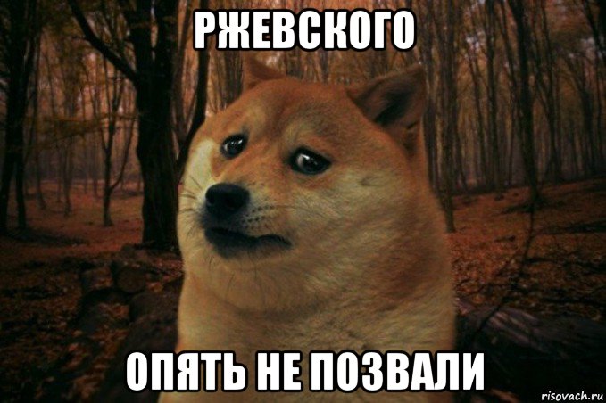 ржевского опять не позвали, Мем SAD DOGE