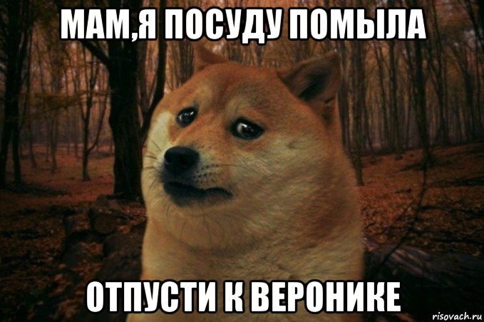 мам,я посуду помыла отпусти к веронике, Мем SAD DOGE