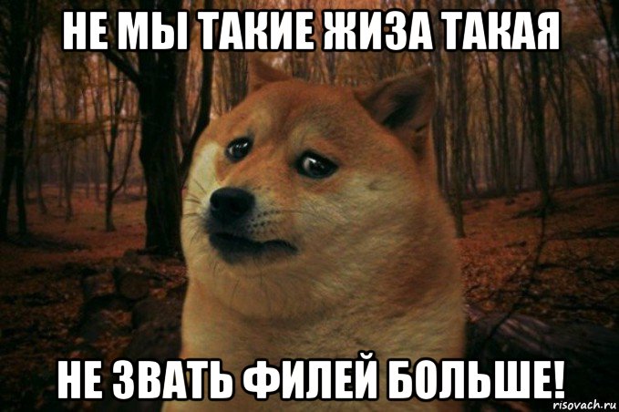 не мы такие жиза такая не звать филей больше!, Мем SAD DOGE