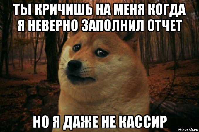 ты кричишь на меня когда я неверно заполнил отчет но я даже не кассир, Мем SAD DOGE