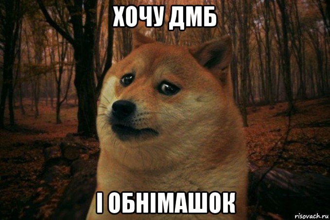 хочу дмб і обнімашок, Мем SAD DOGE