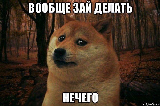 вообще зай делать нечего, Мем SAD DOGE