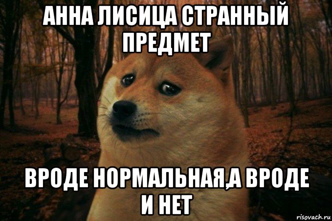 анна лисица странный предмет вроде нормальная,а вроде и нет, Мем SAD DOGE