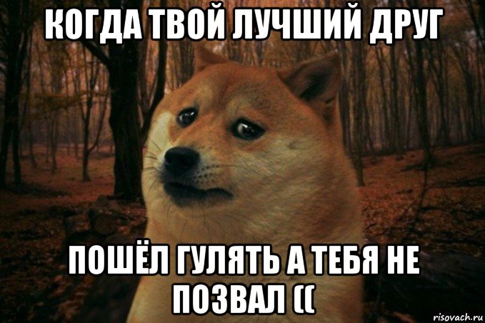 когда твой лучший друг пошёл гулять а тебя не позвал ((, Мем SAD DOGE