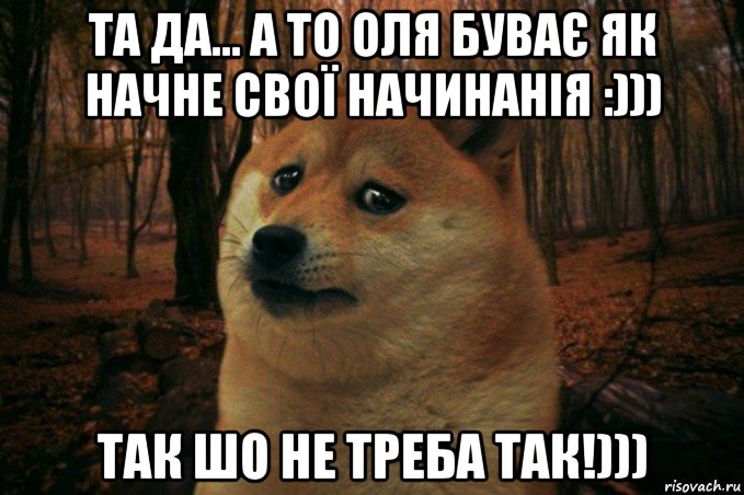 та да... а то оля буває як начне свої начинанія :))) так шо не треба так!))), Мем SAD DOGE