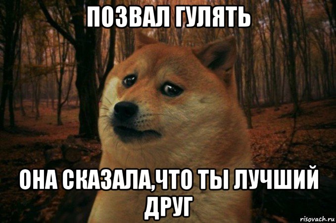 позвал гулять она сказала,что ты лучший друг, Мем SAD DOGE