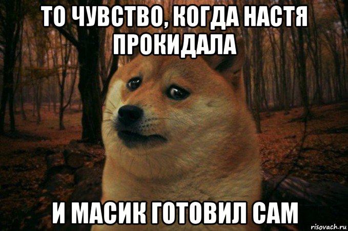 то чувство, когда настя прокидала и масик готовил сам, Мем SAD DOGE