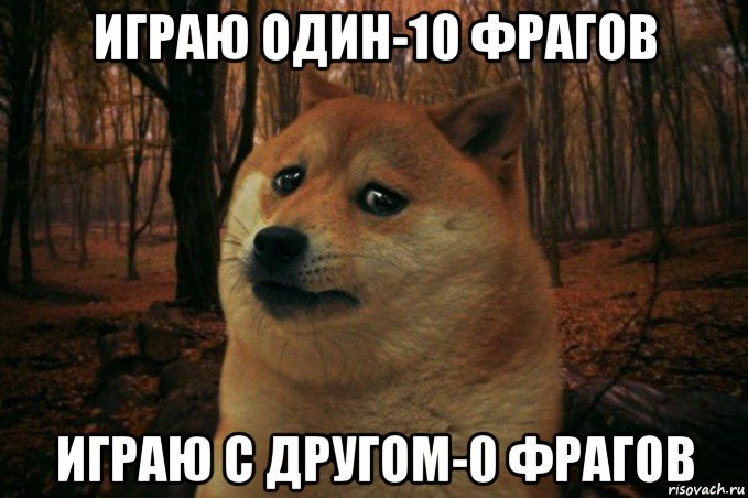 играю один-10 фрагов играю с другом-0 фрагов, Мем SAD DOGE