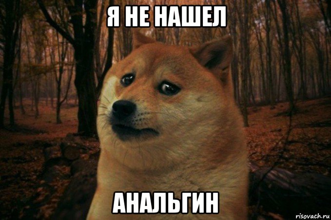 я не нашел анальгин, Мем SAD DOGE