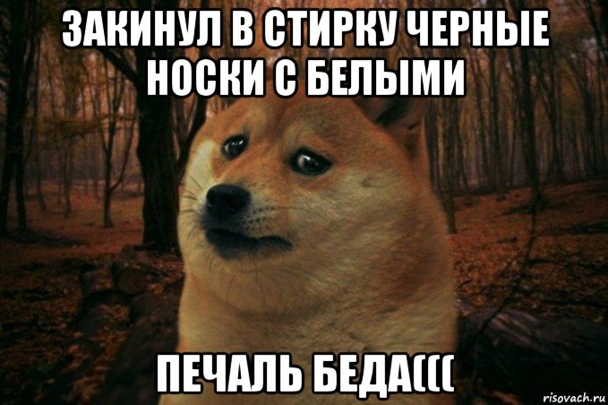 закинул в стирку черные носки с белыми печаль беда(((, Мем SAD DOGE