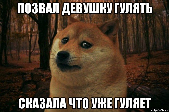 позвал девушку гулять сказала что уже гуляет, Мем SAD DOGE