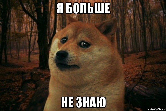 я больше не знаю, Мем SAD DOGE