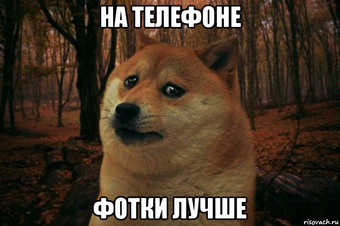 на телефоне фотки лучше, Мем SAD DOGE