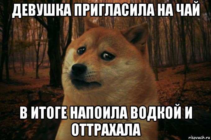 девушка пригласила на чай в итоге напоила водкой и оттрахала, Мем SAD DOGE