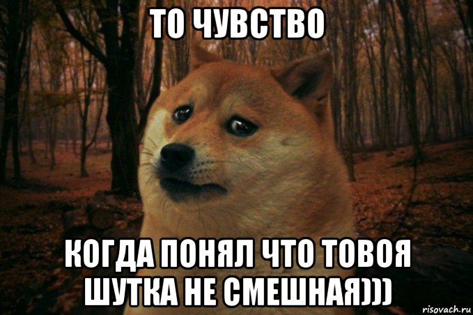 то чувство когда понял что товоя шутка не смешная))), Мем SAD DOGE