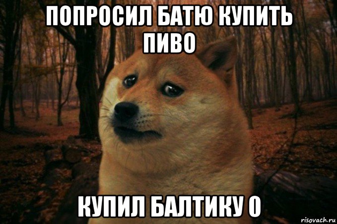 попросил батю купить пиво купил балтику 0, Мем SAD DOGE