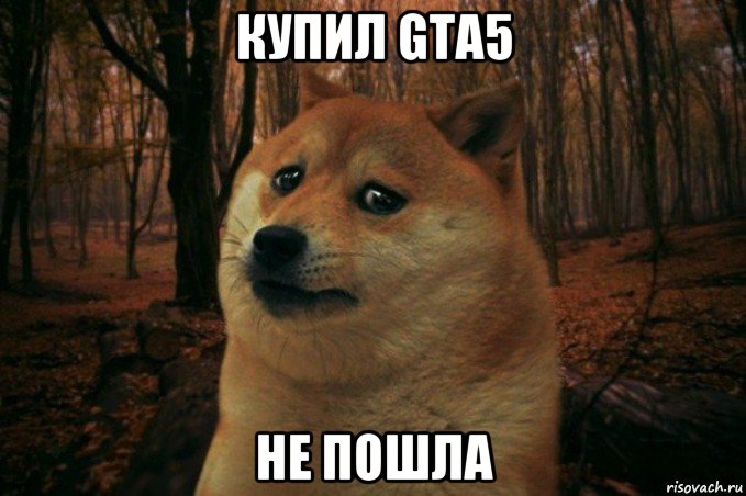 купил gta5 не пошла