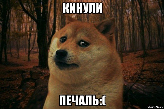 кинули печаль:(, Мем SAD DOGE