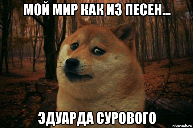 мой мир как из песен... эдуарда сурового, Мем SAD DOGE