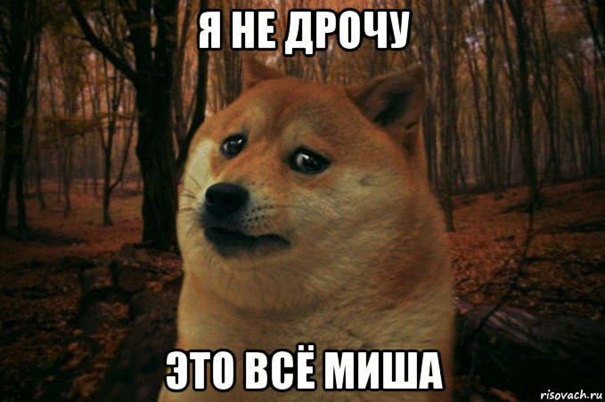 я не дрочу это всё миша, Мем SAD DOGE