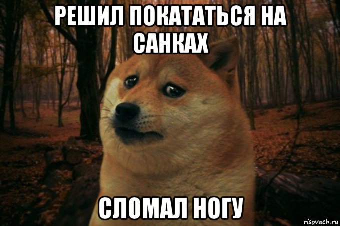 решил покататься на санках сломал ногу, Мем SAD DOGE