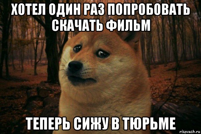 хотел один раз попробовать скачать фильм теперь сижу в тюрьме, Мем SAD DOGE