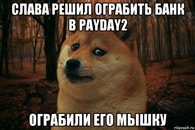 слава решил ограбить банк в payday2 ограбили его мышку, Мем SAD DOGE