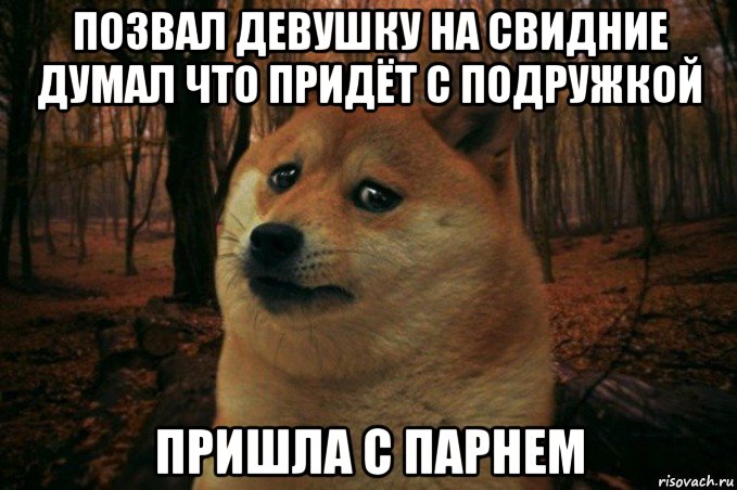 позвал девушку на свидние думал что придёт с подружкой пришла с парнем, Мем SAD DOGE