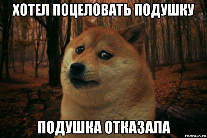 хотел поцеловать подушку подушка отказала, Мем SAD DOGE