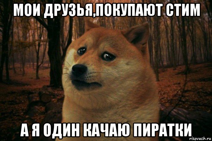 мои друзья,покупают стим а я один качаю пиратки, Мем SAD DOGE