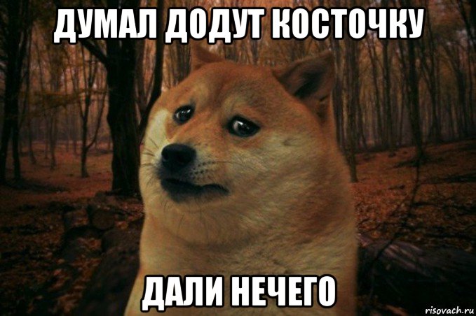 думал додут косточку дали нечего, Мем SAD DOGE