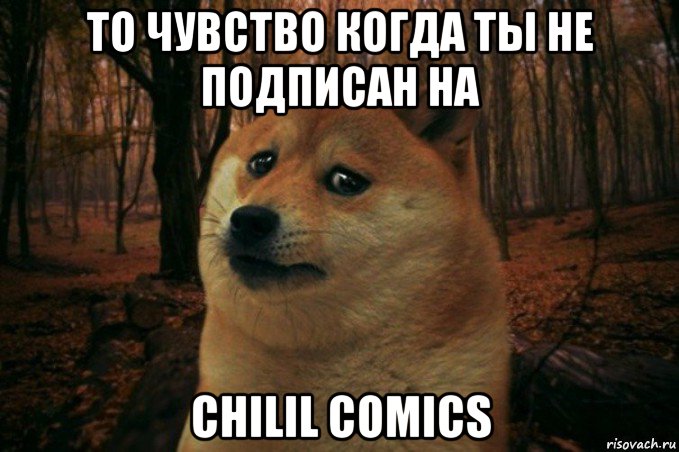 то чувство когда ты не подписан на chilil comics, Мем SAD DOGE