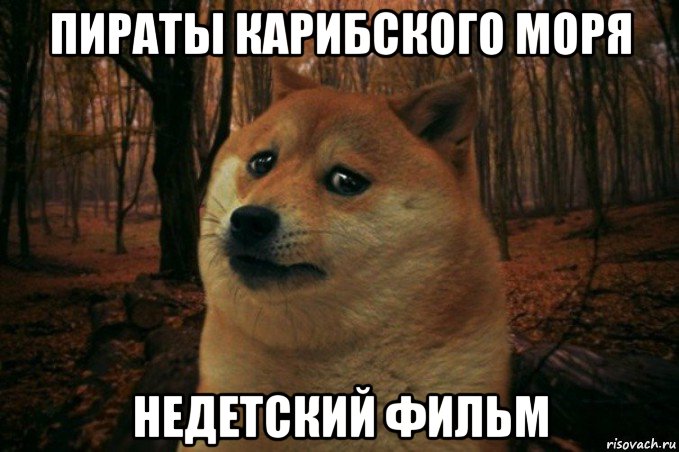 пираты карибского моря недетский фильм, Мем SAD DOGE